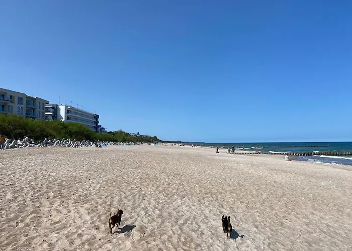 Przy Plazy 3 Appartement *